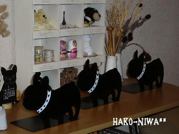 20100419d.jpg