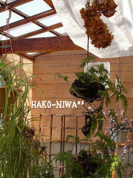 20100513e.jpg