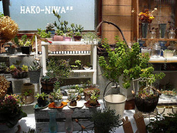 20100513c.jpg