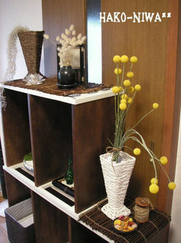 20100601b.jpg