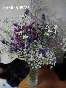 20100611.jpg