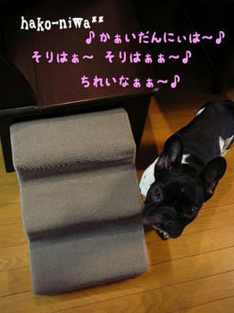 20110322a.jpg