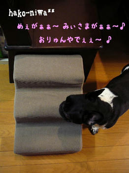 20110322b.jpg