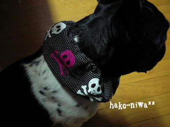 20110720d.jpg