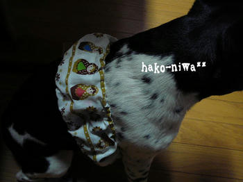 20110720e.jpg