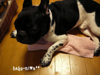 20110720g.jpg
