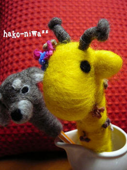 20110725b.jpg
