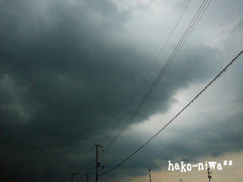 20110730a.jpg