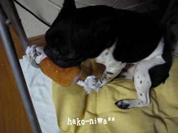 20110819.jpg