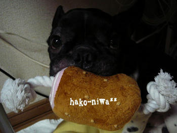 20110819a.jpg