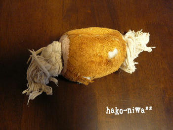 20110819c.jpg