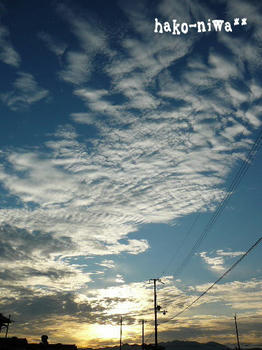 20110908b.jpg