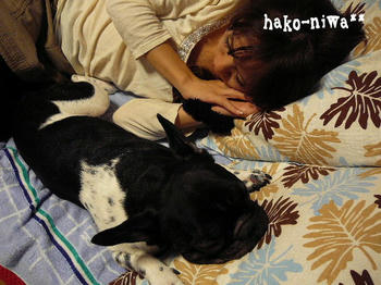 20110907.jpg