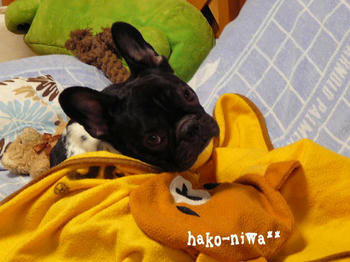 20110907a.jpg