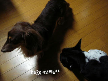 20110918a.jpg