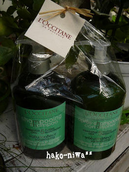20111004.jpg