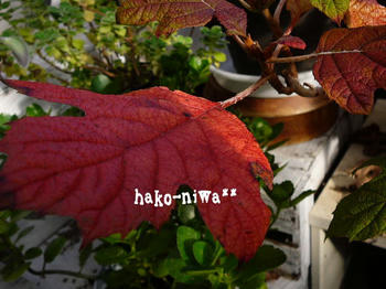 20111004b.jpg