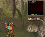 09060603.jpg