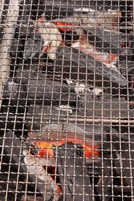 赤外線ロースター