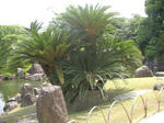 DSCN1657.JPG
