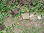 P7090033.JPG
