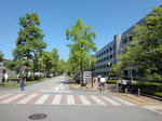 DSC03971.JPG