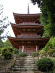 DSCN6657.jpg