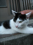 DSCN7127.JPG
