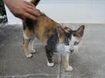 DSCN7190.JPG