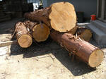 DSCN9216.JPG