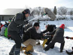 20090214021jd.jpg