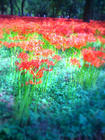 2010100202