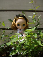 DSC02187.JPG
