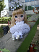 DSC02231.JPG