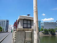 IMGP0540.JPG
