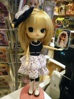 IMGP0596.JPG