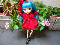 IMGP1289.JPG