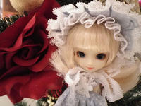 IMGP1389.JPG