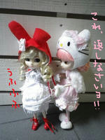 IMGP1513_.jpg