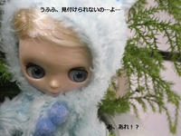 IMGP1528_.jpg
