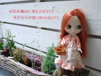 P1030002_.jpg