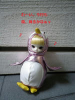 IMGP1534_.jpg