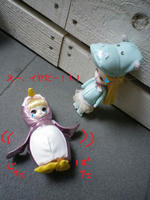 IMGP1536_.jpg