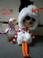 IMGP1538_.jpg