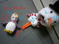 IMGP1539_.jpg