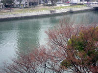IMGP1328.JPG