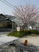 P1010637.JPG