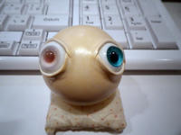 IMGP2551.JPG
