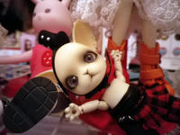 IMGP2613.JPG