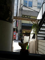 IMGP2623.JPG